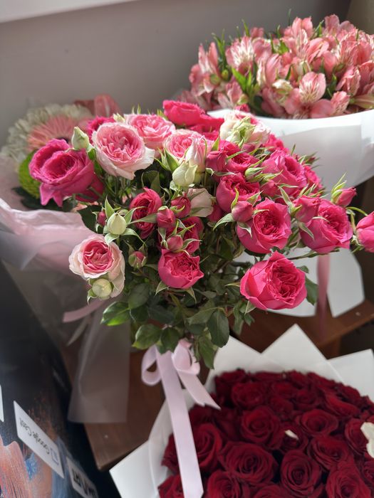 Продам цветы б/у