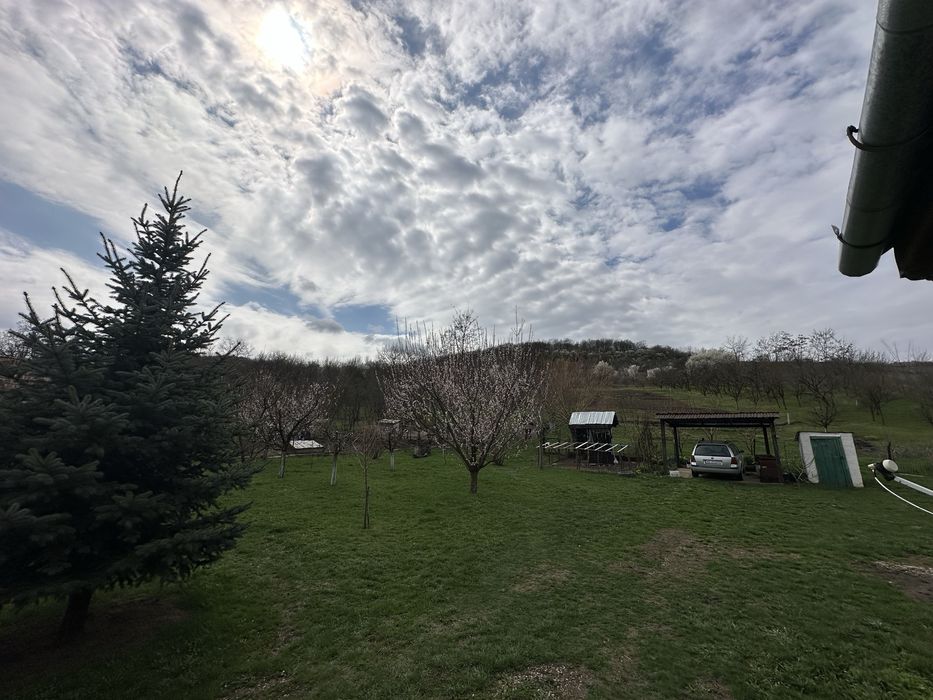 Vand teren cu casa veche in Lopadea Noua