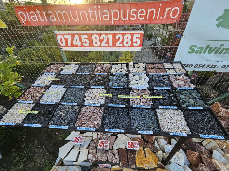 Piatra decorativa ornementala colturoasa rotunjita alba gri rosiatica