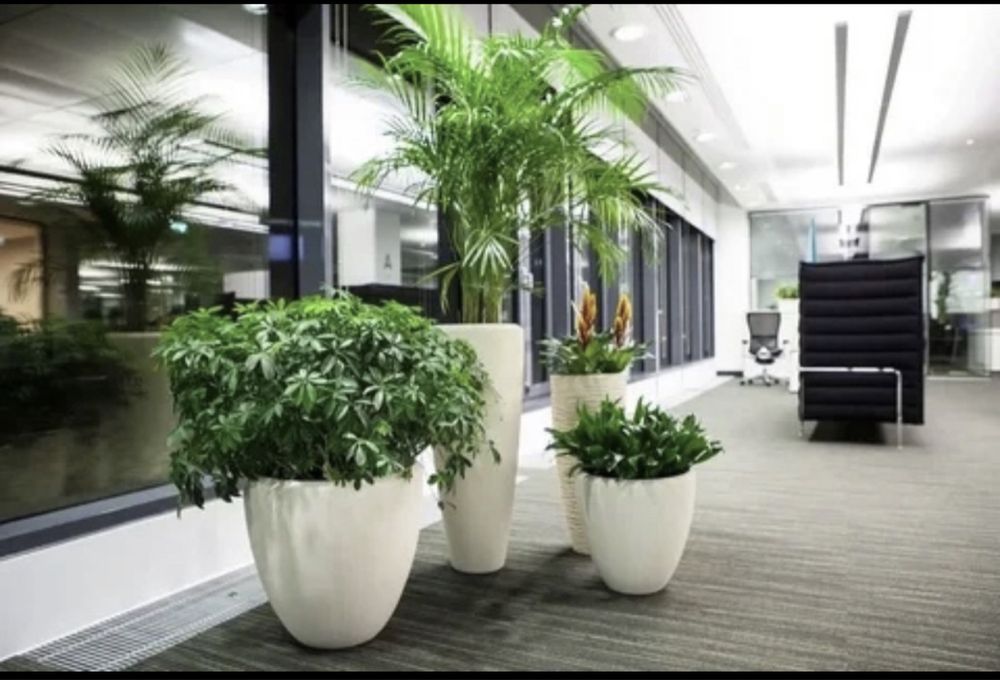 Уход за растениями