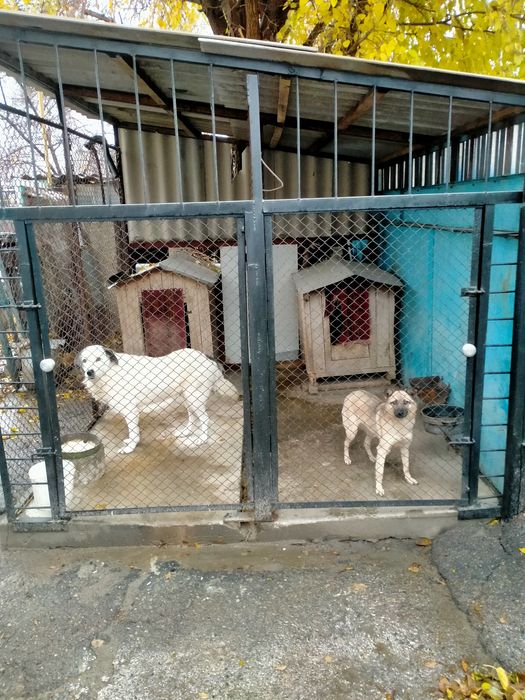 Продаётся дом, двух этажный района Хутор.