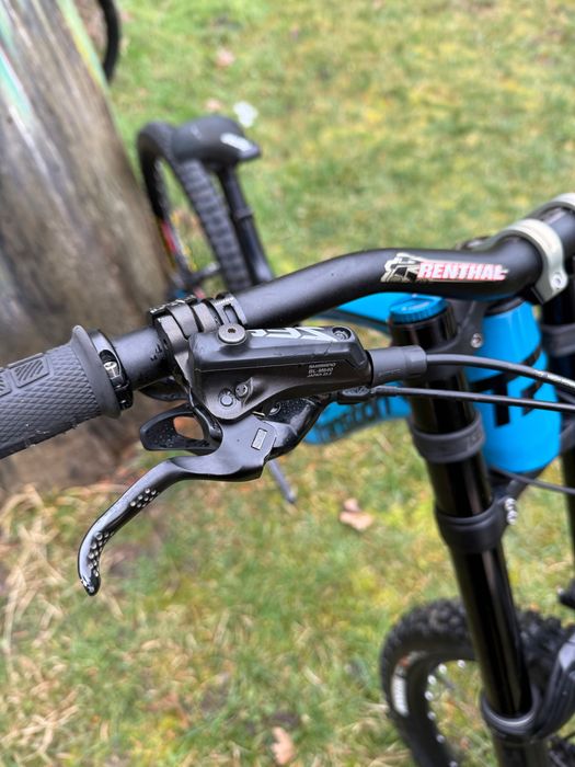 Transition Tr11 L (mullet)