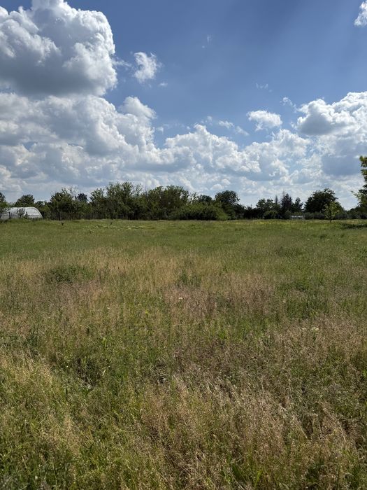 Vand teren intravilan/arabil 1827mp Videle.