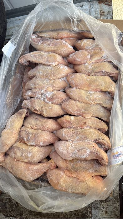 Куриныя продукция