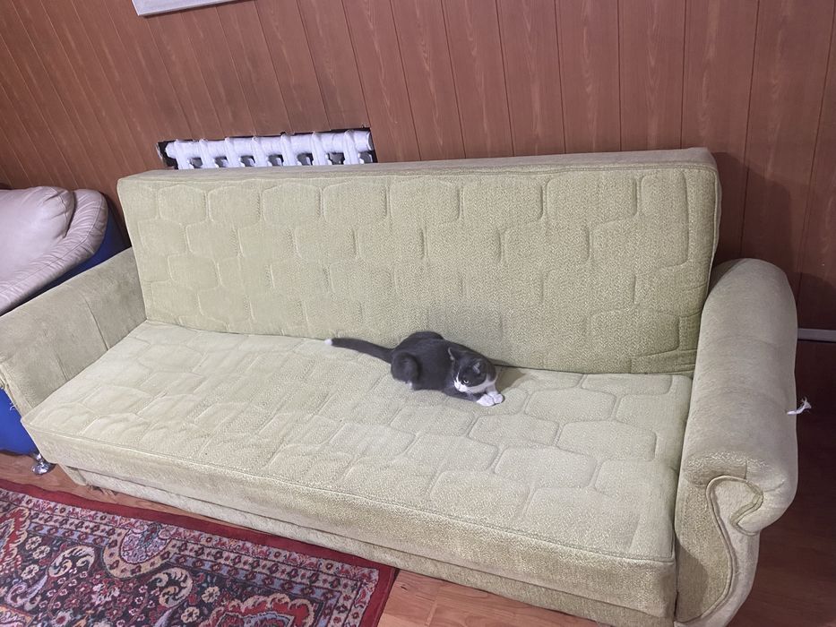 Продам диван. Самовызов