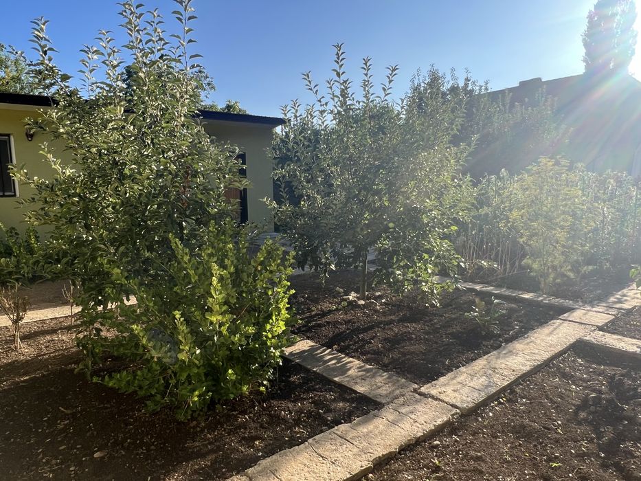 Casă spațioasă din cărămidă, preț negociabil (800 mp)