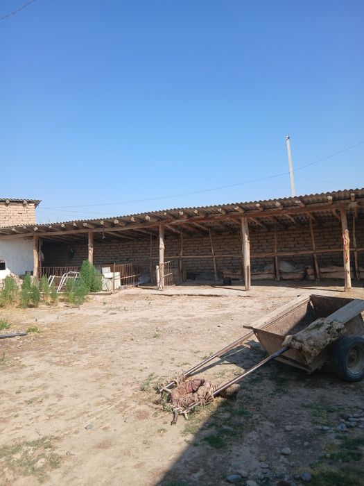 Уй сотилади 35 сотихли