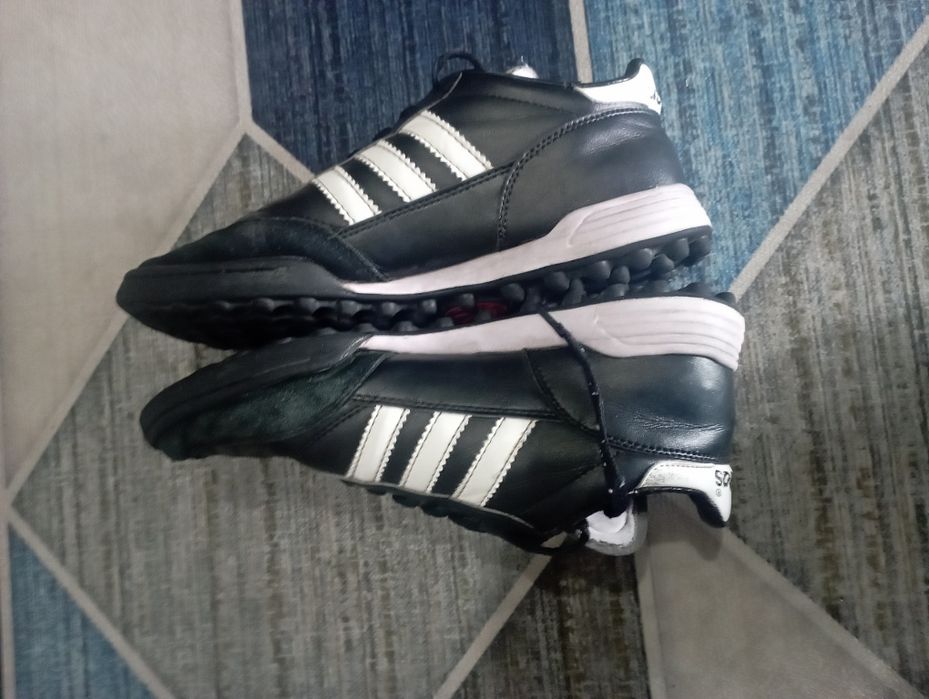 Сараконожки Mundial