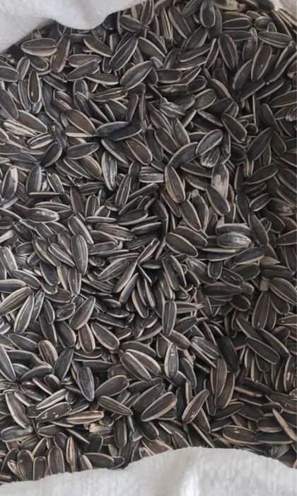 Семечки 1кг 700тг