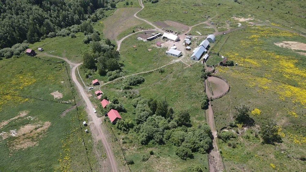 В продаже Пантолечебница Абзал Като-Карагай