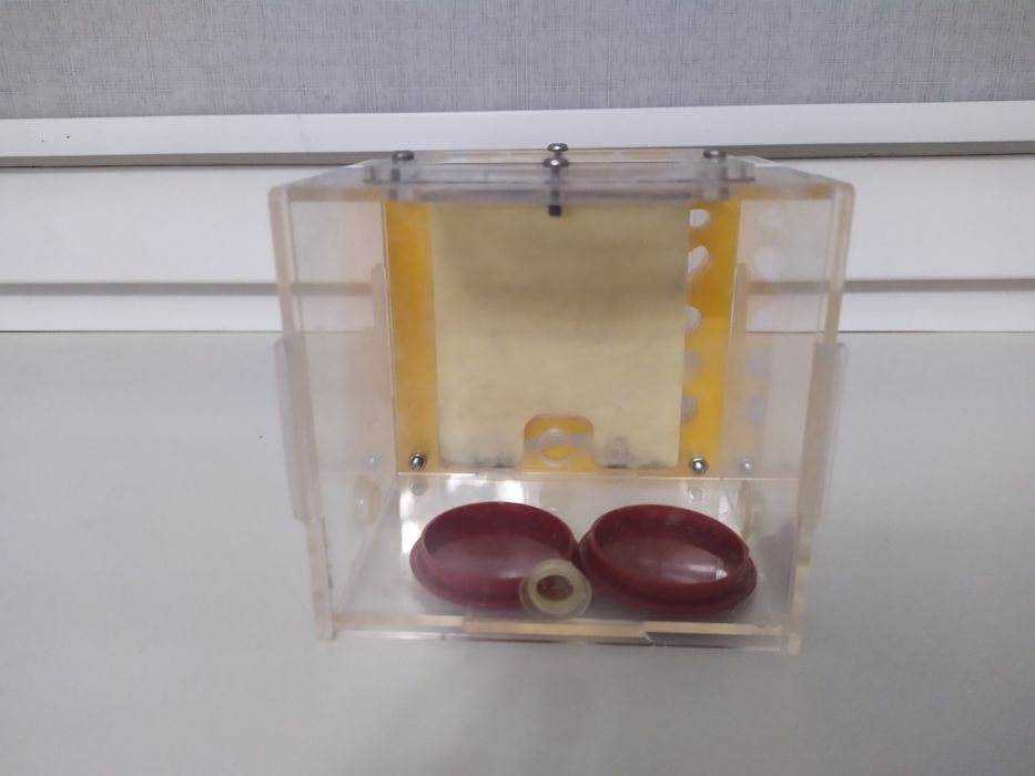 Формикарий для муравьев