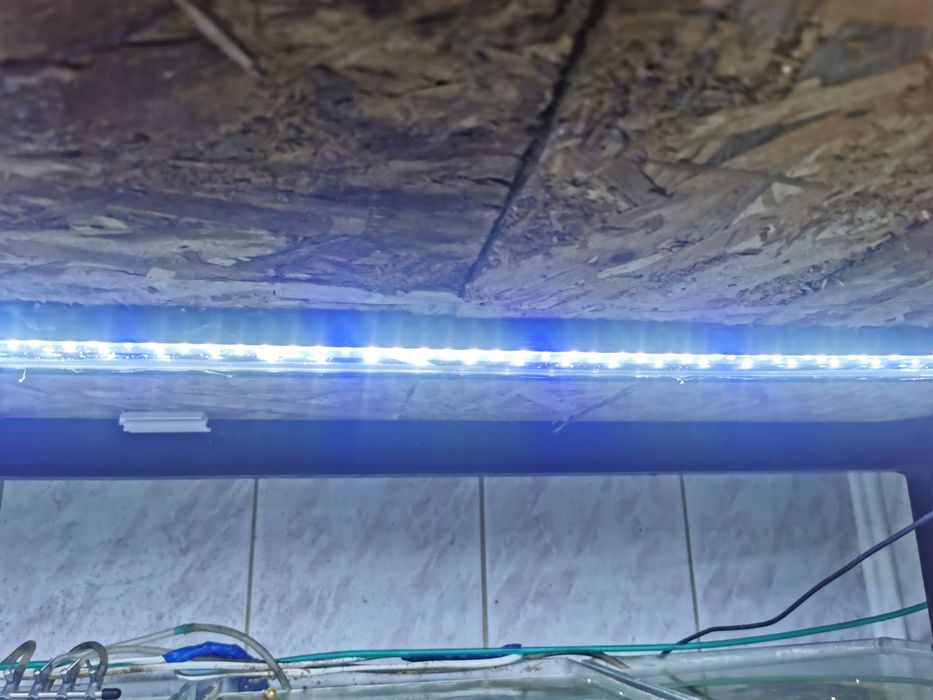 Lămpi speciale pentru plante