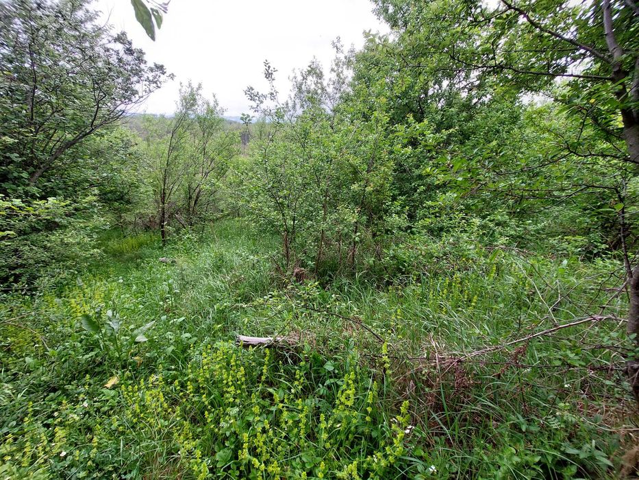 Поземлен имот с.Драгиевци, област Габрово