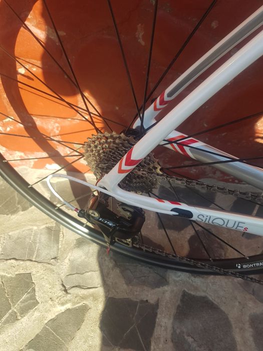 Vand cursiera carbon Trek Slique S Frame