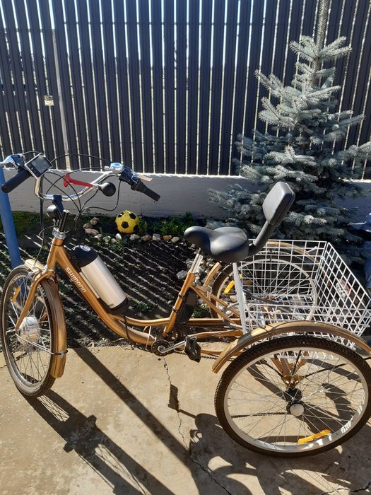 Tricicleta electrica