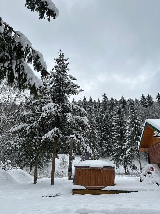 Cabana de închiriat- Iod, Rastolita, relaxare in natura