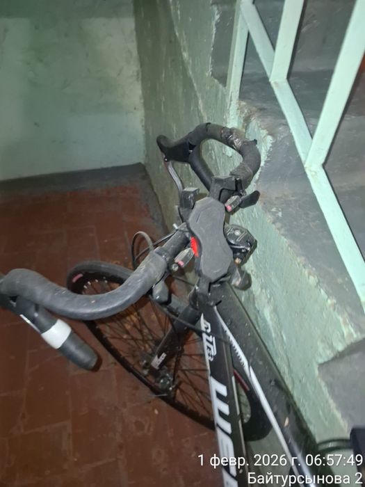 Велик сошейный. Хороший