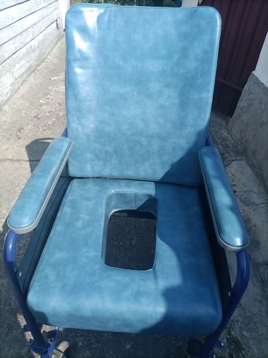 Carucior  dubla folosire (wc si plimbat )