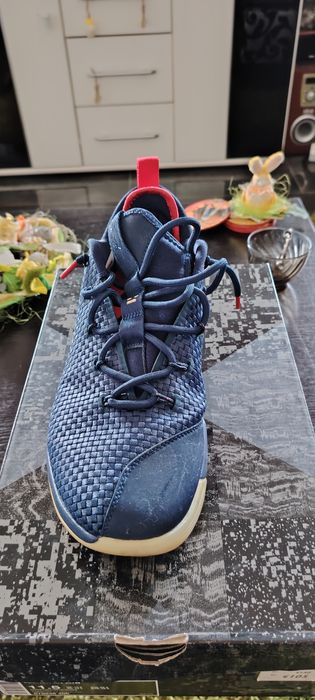 Adidași Nike Lebron