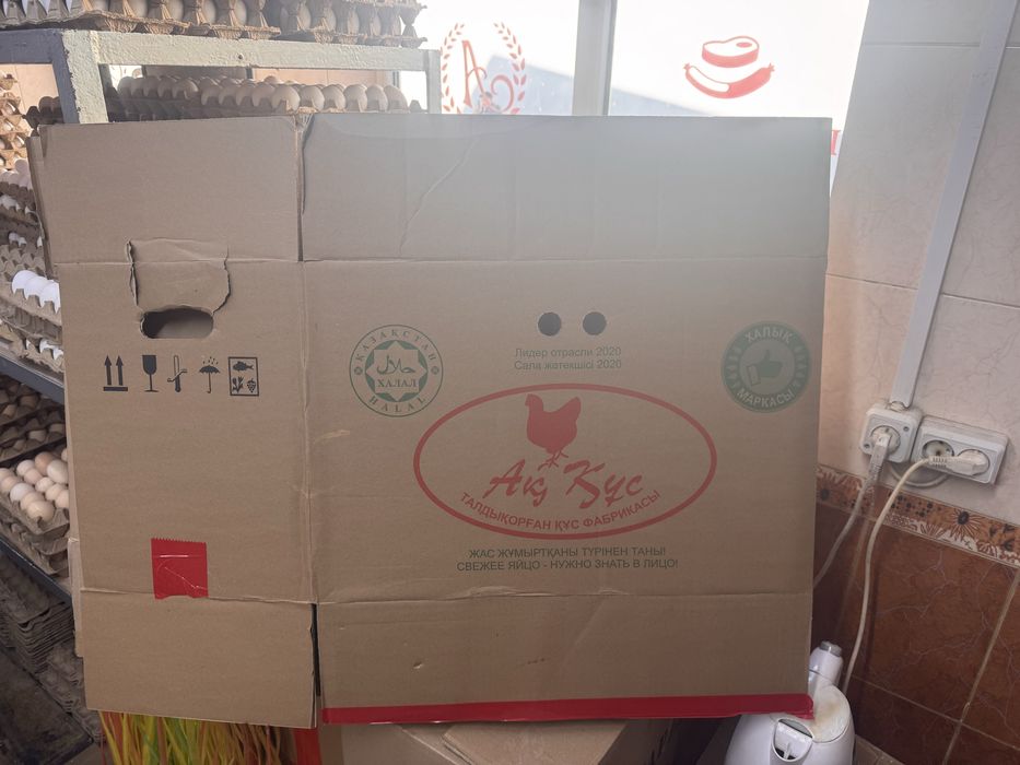 Коробки из под яиц.