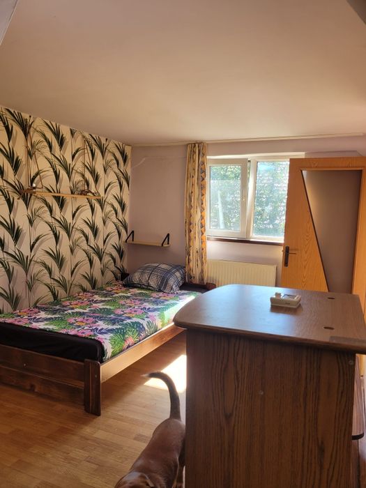Închiriez apartament cu o camera în Someseni
