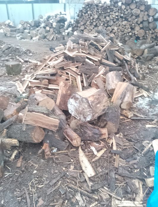 Дрова карагач продаю