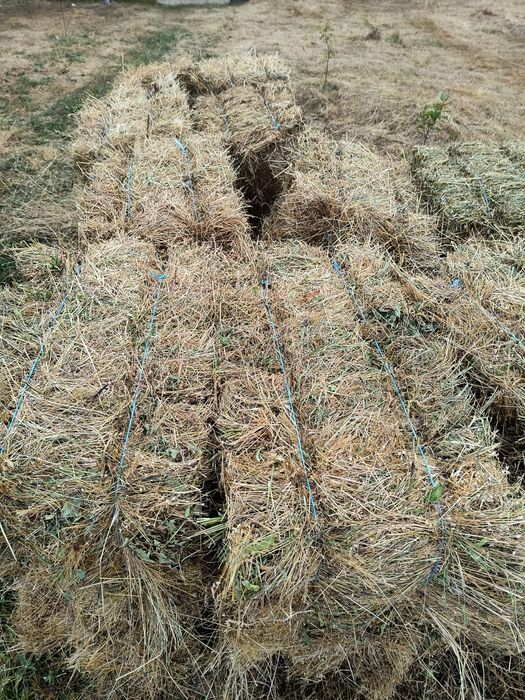 Vând baloți fân bun