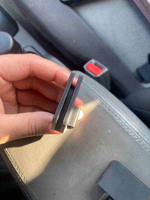 Петли Арктур 006 пара