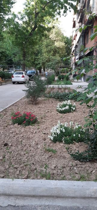 Чиланзар 13-й квартал 2/1/5