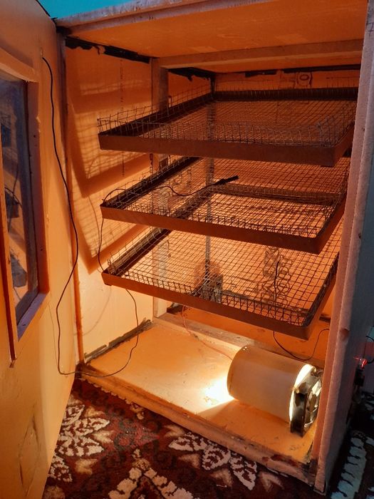 Инкубатор сотилади 300 талик