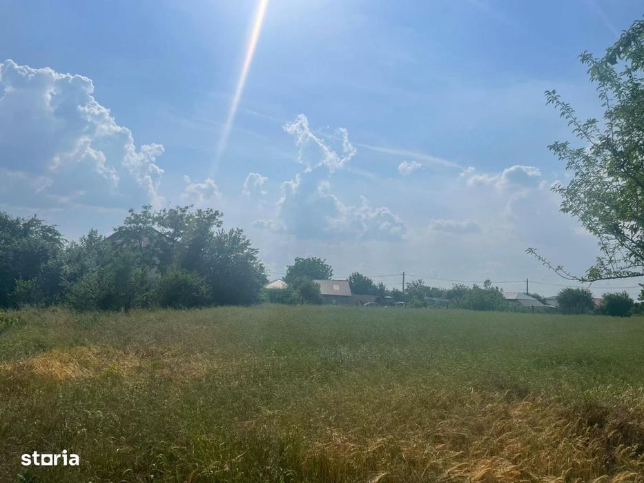 Vanzare teren intravilan Cernica_Tânganu, lot 954mp