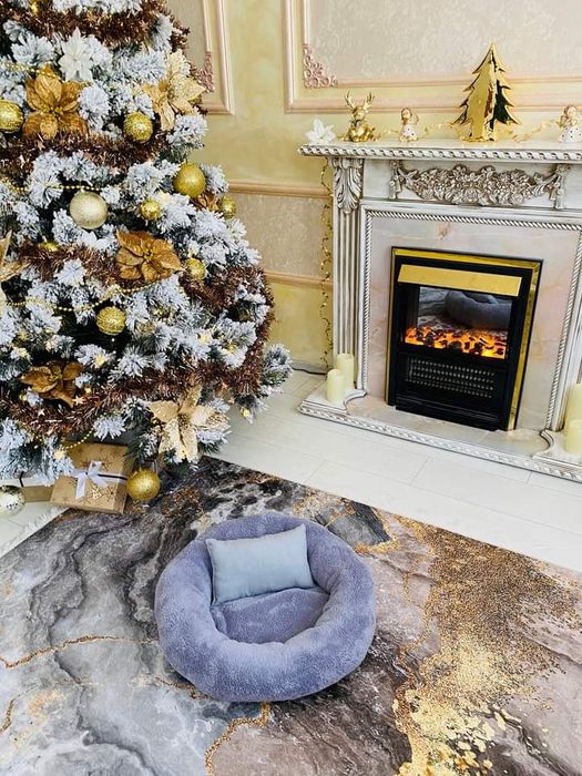 Легла за домашни любимци