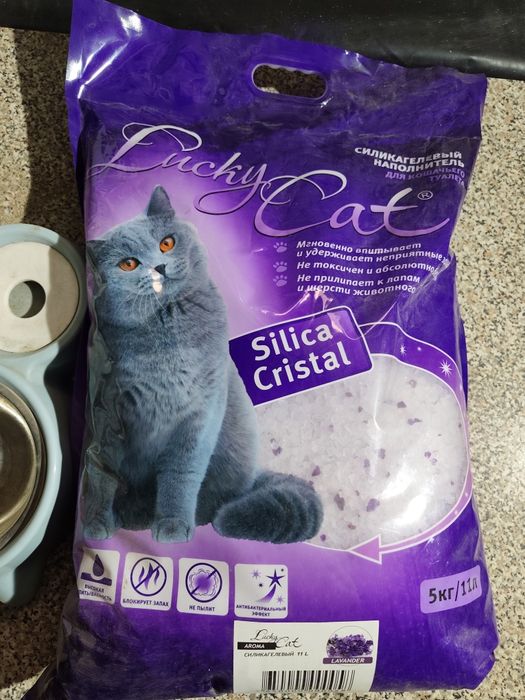 Наполнитель силикагель, лоток закрытый для большой кошки