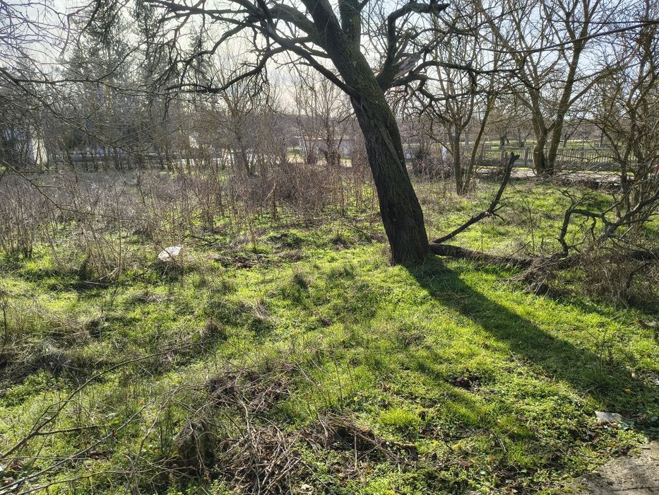 Продава се Къща в с. Добрево, Област Добрич - 60 кв.м за 71 €/кв.м - Снимка #3