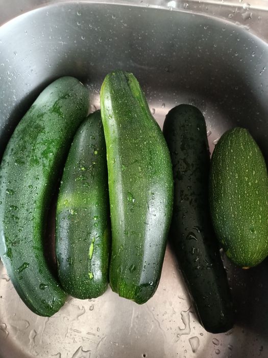 Продам кабачки цукини