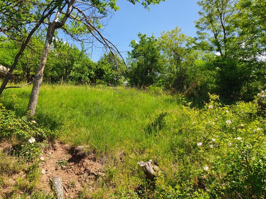 Парцел имот        .