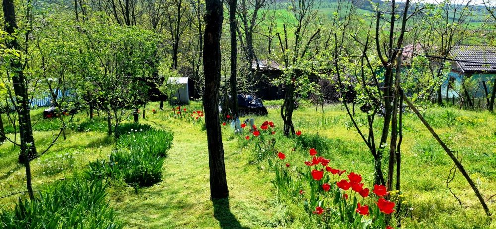 Vând casă sat Pietroaia