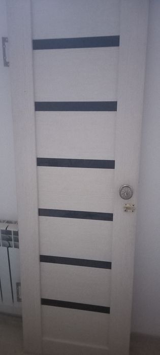 Дверь для туалет и ванны 60см