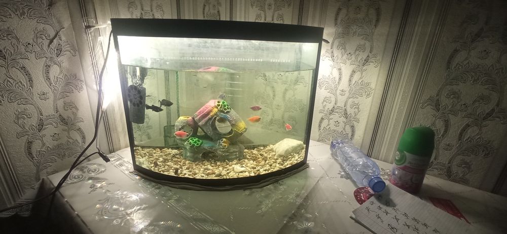Akvarium 25 litrli аквариум 25 литров