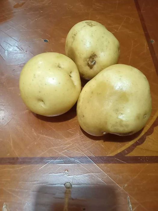 Картошка вёдрами