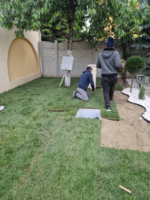 Gazonul Rulou Premium - Alegerea Perfectă pentru Grădina Ta!