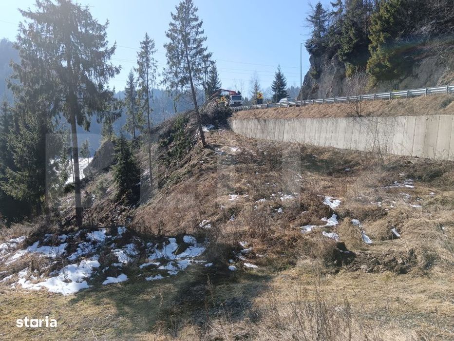 Teren intravilan de vanzare – 3100 mp Colibita, front lac 70