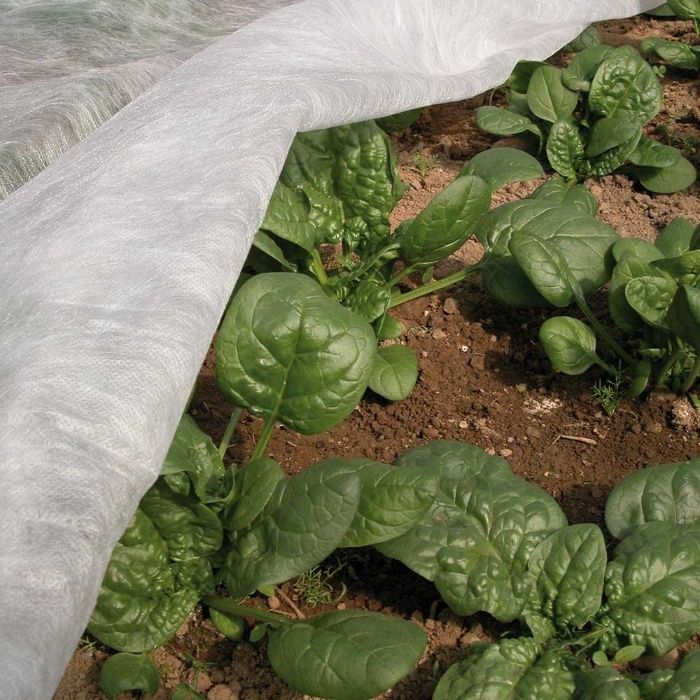 Укрывной Спанбонд 30 для защиты растение от холода, жары и холода