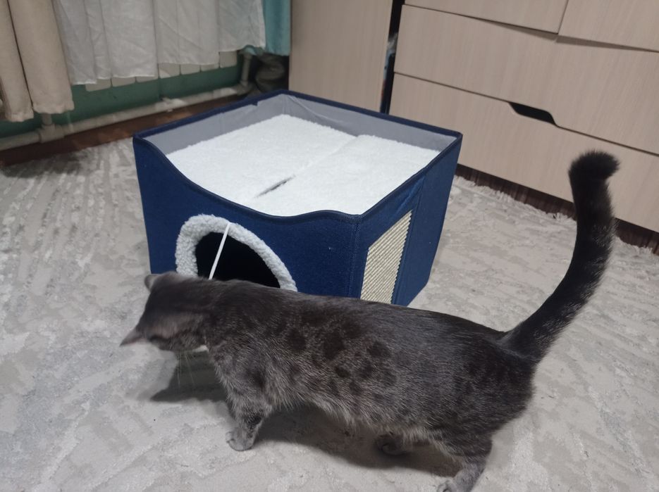 Домик для животных, кошачий домик