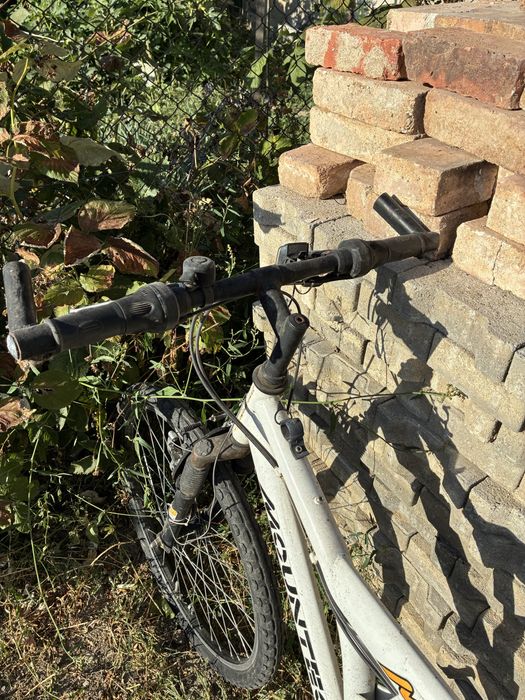 Bicicleta adult