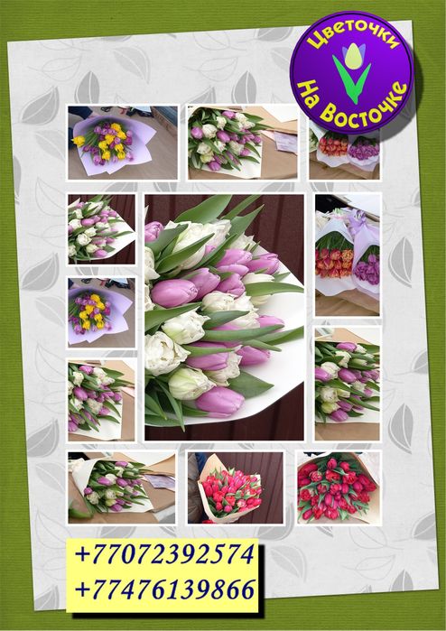 Тюльпаны на Восточке!