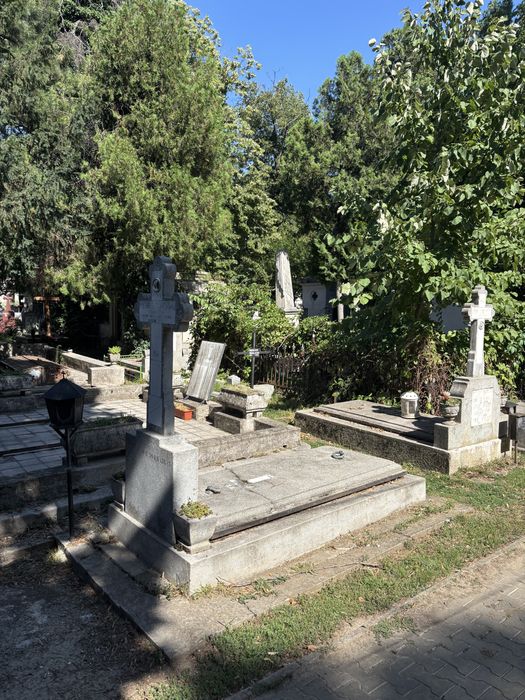 Loc de veci Bellu