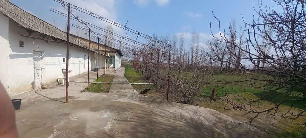 Срочно ер нархида Янги йулда ховли жой сотилади