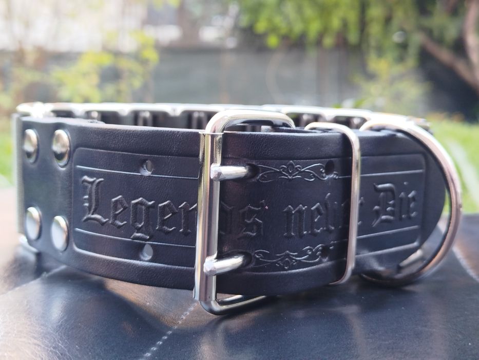 Нашийник за куче