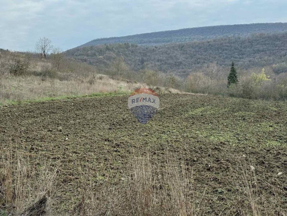 Продава се Парцел в с. Църква, Област Добрич - 8305 кв.м за 13 €/кв.м - Снимка #6